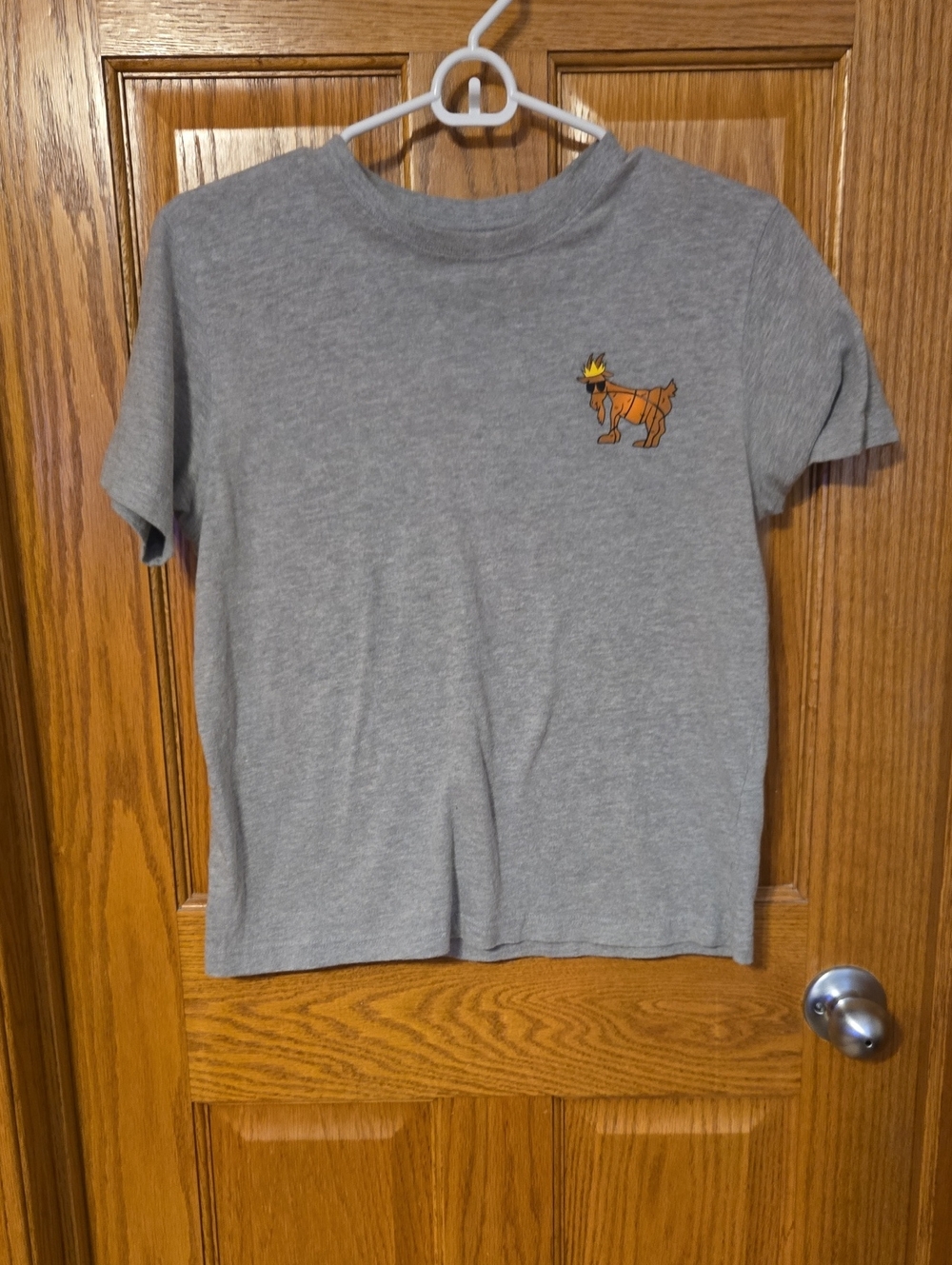 Kids Gray Short Sleeve Tee with Orange GOAT Patch
